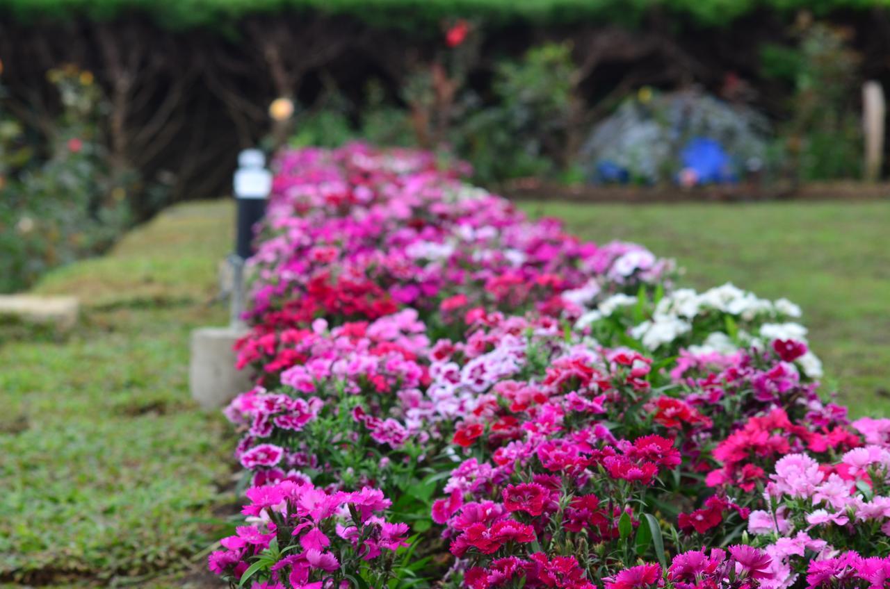 Ripon Grand Hill By Ehi Otel Nuwara Eliya Dış mekan fotoğraf
